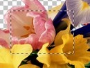 04