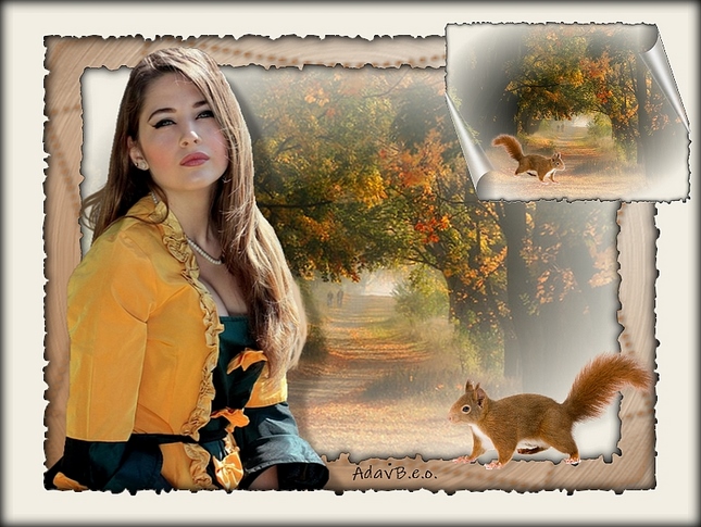 Les 65 Herfst