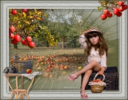 les 64 appels in de betuwe