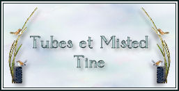 Tine