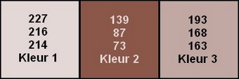 kleuren music boy