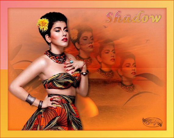 Shadow