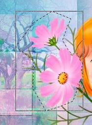 09