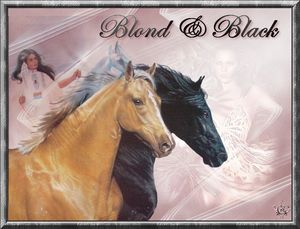 Blond and black