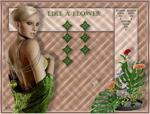 Like a flower