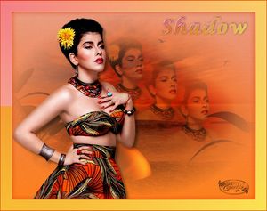 Shadow