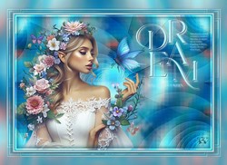 Dream