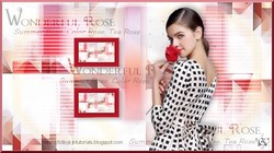 Wonderful Rose