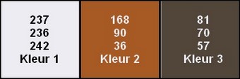kleuren woman w g