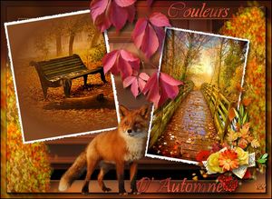 Couleurs d`automne