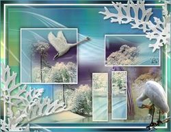 Paysage d 'hiver