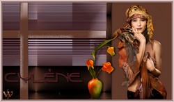 Cylene