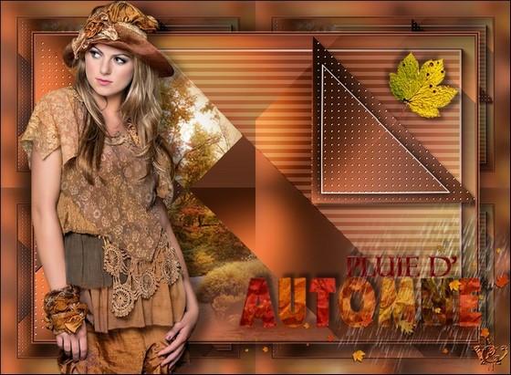 Pluie d'automne