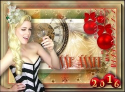 Bonne Ann�e 2016