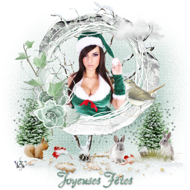 Joyeuses Fetes