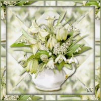 Muguet